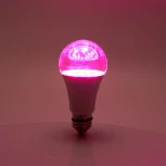 Лампа светодиодная для растений А60 Feron 38275 LB-7060 E27 10W красно-синий спектр