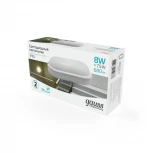 Настенно-потолочный светильник Gauss Elementary 161411208 (LED, 220V, IP65)