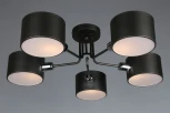 Потолочная люстра Omnilux Liser OML-54507-05 (220V)