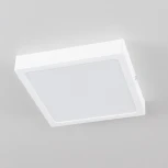 Потолочный светильник Citilux Галс CL55K22N (LED, 220V)