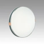 Настенно-потолочный светильник Sonex Otiga Blue 7677/DL COLOR SN пластик/серо-гол./зол. LED 48Вт 4000K D400 IP43 (220V, круглые)