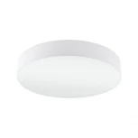 Настенно-потолочный светильник Eglo Pasteri 97611