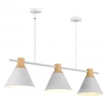 Подвесной светильник Evoluce Modica SLE125103-03