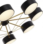 Потолочная люстра на штанге Valle SLE6005-402-08 Evoluce (LED, 220V, пульт управления)