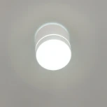 Накладной точечный светильник Citilux Борн CL745020N (LED, 220V, диммер, круглые)