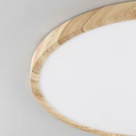 Настенно-потолочный светильник Citilux Бейсик CL738322V (регулировка яркости, LED, 220V, круглые, IP40)