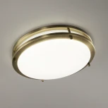 Настенно-потолочный светильник Citilux Бостон CL709323N (LED, 220V, диммер, круглые, IP44)