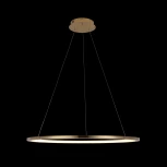 Подвесной светильник Loft IT Ring 10014L (LED, 220V, на тросе, кольцо)