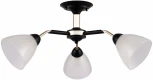 Потолочная люстра на штанге Arte Milano Napoli 324108/3 BK+FG (220V)