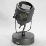 Спот Lussole Loft Haines GRLSP-8045 (220V, IP21)