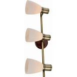 Спот Toplight Sharyl TL3720Y-03BB