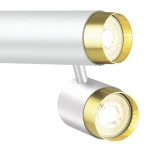 Спот Lumien Hall Sauris LH8020/2C-WT-GD