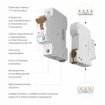 Автоматический выключатель 1P 10 A C 4,5 kА Werkel W901P104 (a062487)