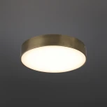 Потолочный светильник круглый Aployt Evon APL.0113.29.24 (LED, 220V, круглые)