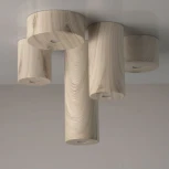 Потолочный светильник DeMarkt Иланг 712010601