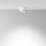 Накладной потолочный светильник Hoop GX53 1x15Вт Maytoni Technical C086CL-GX53-SRD-WS (220V, круглые)