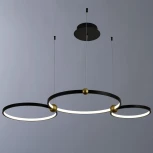 Подвесной светильник Divinare Amadeo 1123/04 SP-75 (LED, 220V, на тросе, кольцо)