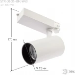 Трековый светильник ЭРА SТR-30-36-40K-W40 (LED, 220V, круглые, IP40)