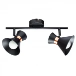 Спот на штанге Arte Lamp Baltimore A1406AP-2BK (220V, круглые)