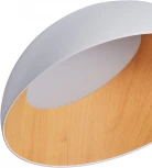 Потолочный светильник круглый светодиодный Zortes Baum ZRS.01201.19 (220V, круглые, IP21)