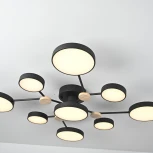 Потолочная люстра с пультом на штанге LED Lu Carte LC-11-1721