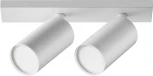 Потолочный светильник FOCUS S GU10 2x10Вт Maytoni Technical C051CL-U-2W (220V, круглые)