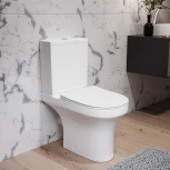 Унитаз-компакт Damixa Skyline DX35C8600SC безободковый, с микролифтом