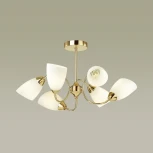 Потолочная люстра Lumion Darlene 4532/6C