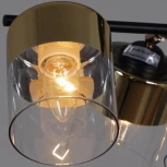 Потолочная люстра на штанге Reluce 11555-0.3-06 BK+FGD