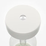 Настольная лампа с аккумулятором Maytoni AI Collaboration MOD229TL-L3W3K1 (регулировка яркости, LED, 220V, выключатель, круглые)