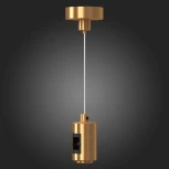 Подвес с одиночным фиксатором ST Luce Farm ST027.213.00 (24V, на тросе)