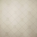 Обои виниловые Zambaiti Trussardi V 21856 10,05 x 0,7 м