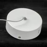 Подвесной светильник Lussole Claudia LSP-0922 (LED, 220V, на проводе)