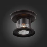 Потолочный светильник уличный ST Luce Lastero SL080.402.01 (220V, IP54)