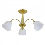 Потолочная люстра на штанге Escada Ilex ES0000032 150003/3R E27*60W Gold