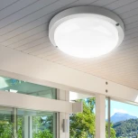 Настенно-потолочный светильник светодиодный ЭРА SPB-201-0-40K-018 (220V, круглые, IP65)