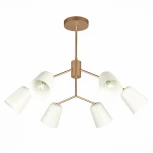 Потолочная люстра на штанге Evoluce Mario SLE155902-06 (220V)