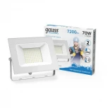 Прожектор уличный Gauss 613120370 (LED, 220V, IP65)