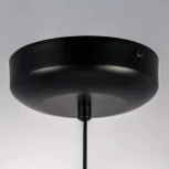 Подвесной светильник Lightstar Genova 610046 (LED, 220V, на проводе)