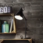 Офисная настольная лампа Eglo Priddy 49469 (220V, выключатель)