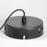 Подвесной светильник Lussole Lgo Aberdeen LSP-8223 (LED, 220V, на проводе, IP21)