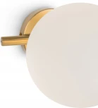 Бра Freya Blossom FR5259WL-01BS