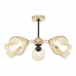 Потолочная люстра на штанге Arte Milano Napoli-329007 329007/5 GD.BK (220V)