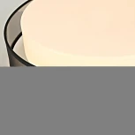 Круглый потолочный светильник LED Lu Carte LC-11-0767