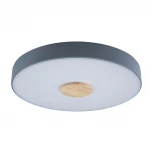 Потолочный светильник круглый Loft IT Axel 10003/24 Grey (LED, 220V, круглые)