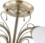 Потолочная люстра на штанге Arte Milano Napoli-6820 337454/5 AB (220V)