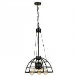 Подвесной светильник Lussole Loft Buffalo LSP-9994