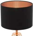 Интерьерная настольная лампа Eglo Carlton 2 95787