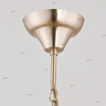 Подвесная люстра Alfa Izyda 22055