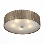 Потолочный светильник ST Luce Rondella SL357.702.05